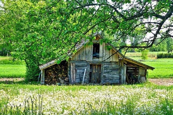 Repairing A Shed vs. Buying A New Shed