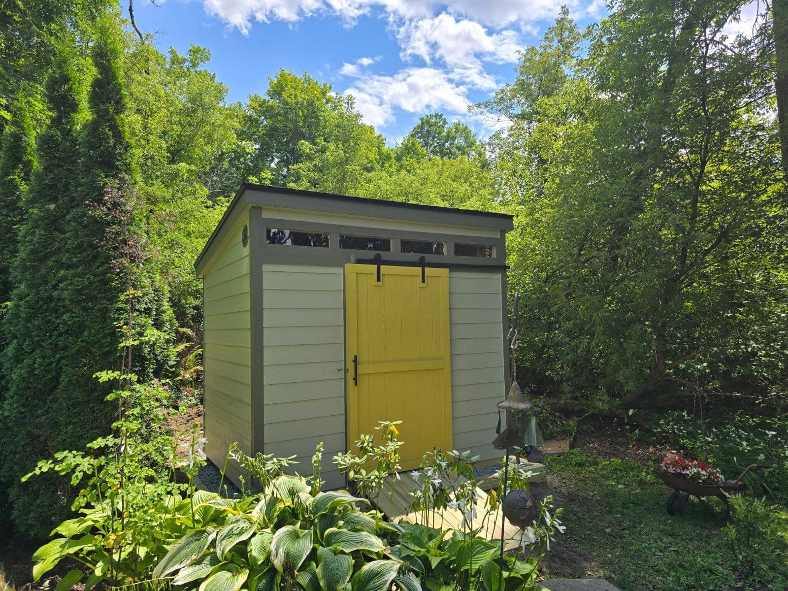 A sage green tall modern shed with a yellow barn door and transom windows, among hostas and evergreens