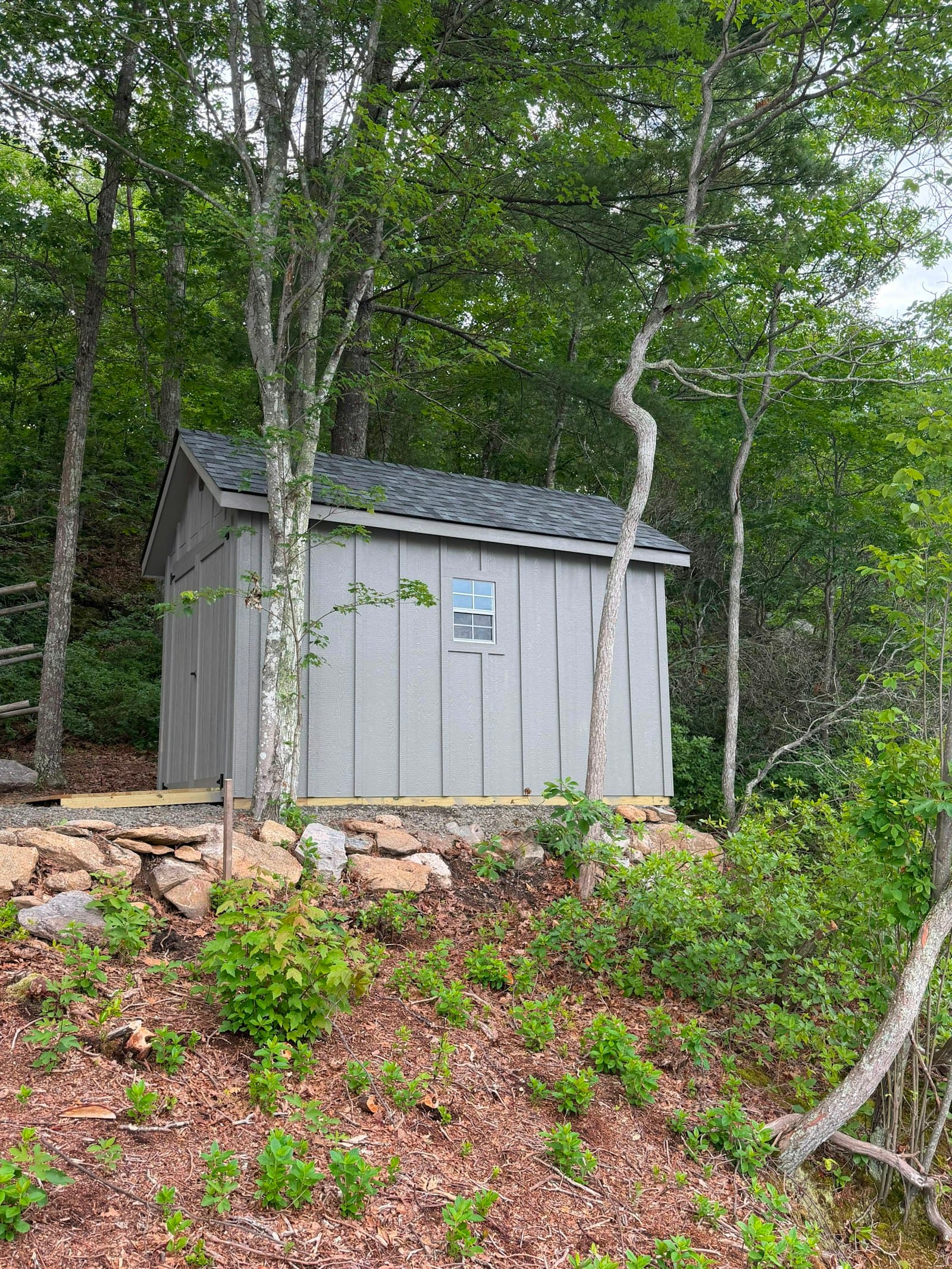 A shed Noah built, photographed on site