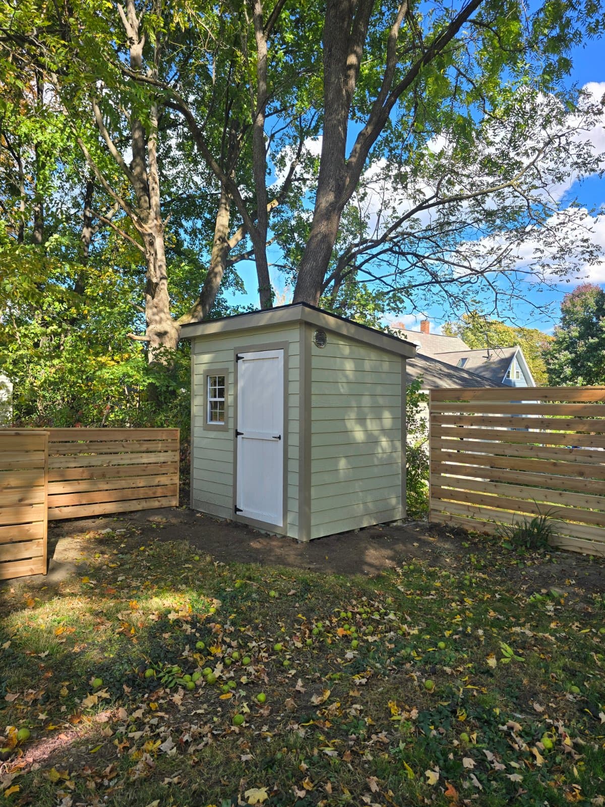 A shed Noah built, photographed on site
